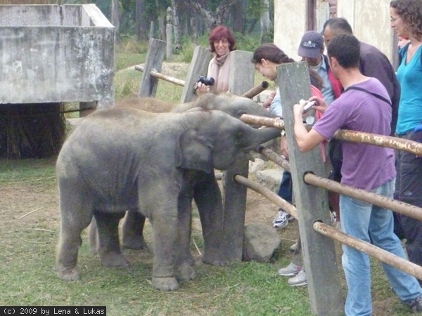 4158 eines von zwei Zwillingspaaren auf der ganzen welt (also die überlebt haben)... sie wurden vor kurzen ein jahr alt